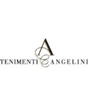 Tenimenti Angelini