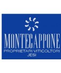 Montecappone Viticoltori Jesi