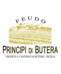 Principi di Butera