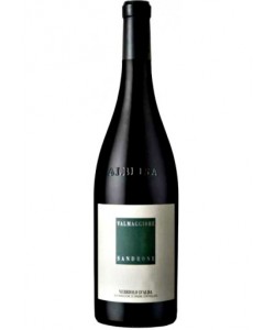 Vendita online Nebbiolo D'Alba Valmaggiore Sandrone 2018  0,75 lt.