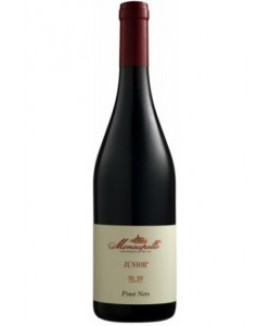 Vendita online Pinot Nero Junior Monsupello 2020 0,75 lt.