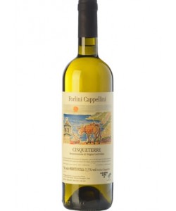 Vendita online Cinqueterre Forlini Cappellini 2020 0,75 lt.