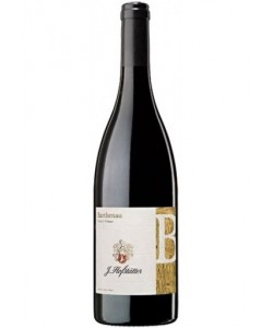 Vendita online Alto Adige DOC Hofstatter Pinot Nero Barthenau Vigna S.Urbano 2017