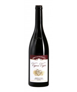 Vendita online Barbera d'Alba Superiore DOC Bricco Maiolica Vigna Vigia 2009