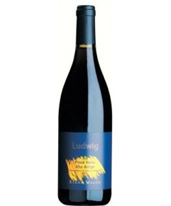 Vendita online Alto Adige DOC Elena Walch Pinot Nero Ludwig 2017