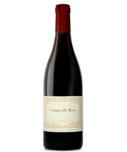 Vendita online Veneto IGT Gini Pinot Nero Campo alle More 2006