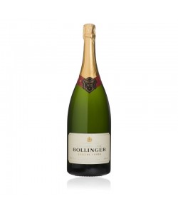 Vendita online Champagne Bollinger Special Cuvée