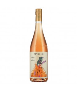 Vendita online Grappa Marolo Barolo
