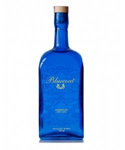 Vendita online Gin Bluecoat