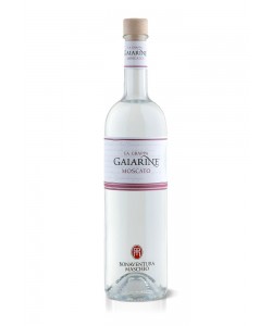 Vendita online Grappa Bonaventura Maschio Gaiarine Moscato