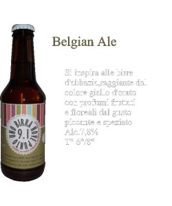 Vendita online Birra Belgian Ale Birrificio 9.1