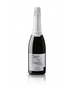 Vendita online Valdobbiadene Prosecco Superiore DOCG Superiore Extra Dry Col de L'utia Sacchetto