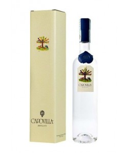 Vendita online Grappa di Barolo Capovilla 0,50 lt.