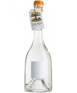 Vendita online Distillato a Bagnomaria di Albicocche Capovilla 0,50 lt.