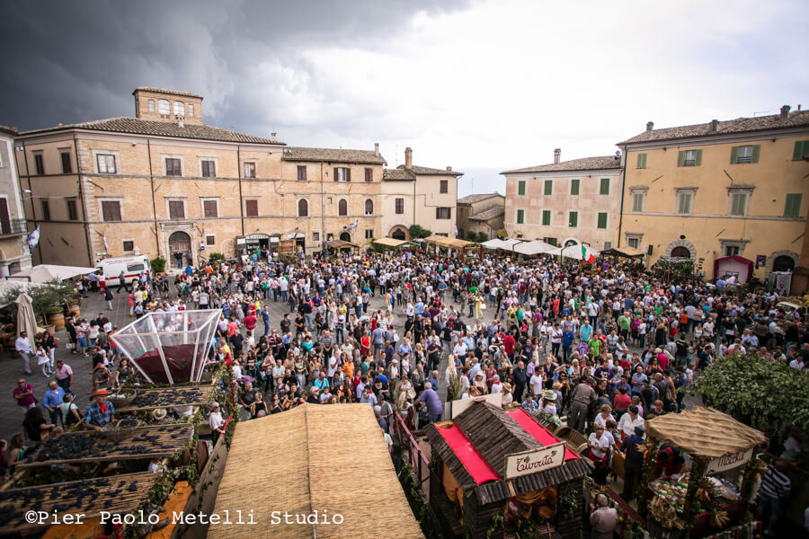 Enologica Montefalco 2019