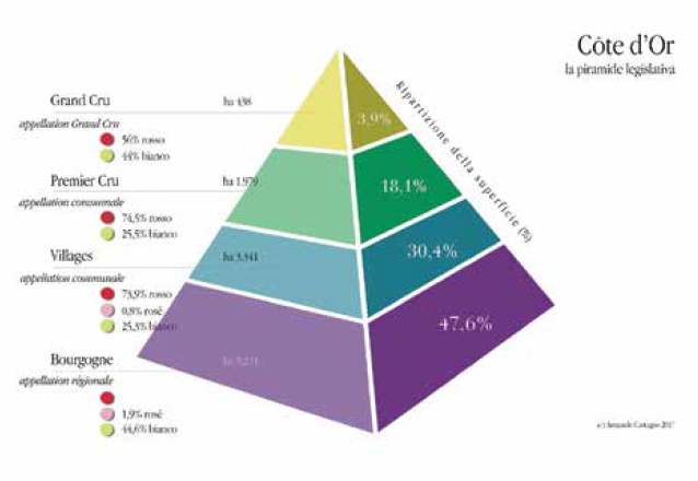 La Borgogna e i grandi vini di Francia