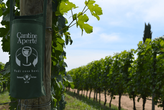 Cantine Aperte Edizione 2015