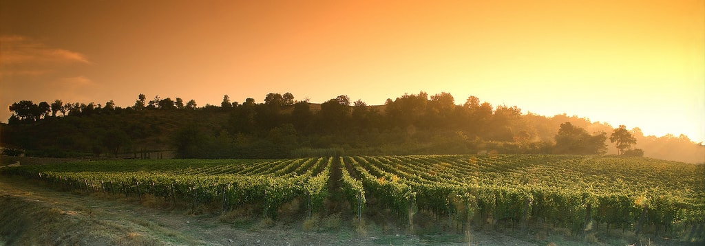 Tenuta di Dudda a Greve