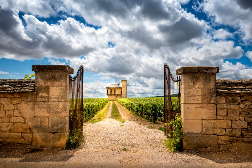 La Borgogna e i grandi vini di Francia