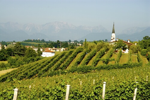 Colline di Breganze