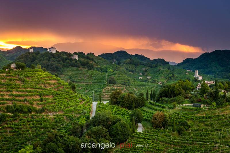 “Weekend in cantina” sulla strada del Prosecco