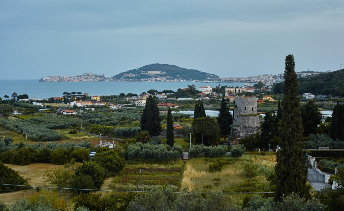 L'olio nel Lazio