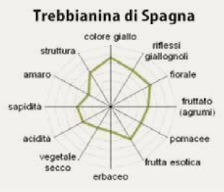 I Trebbiani di Modena