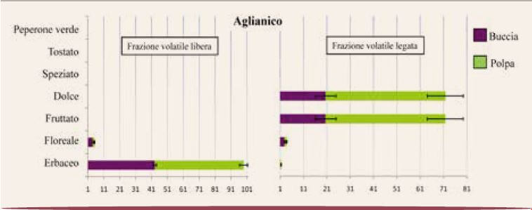 Serie aromatiche uva Aglianico