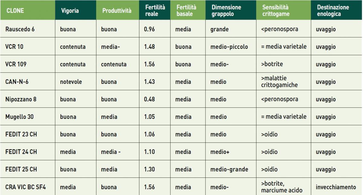 Il Canaiolo nero tab 2