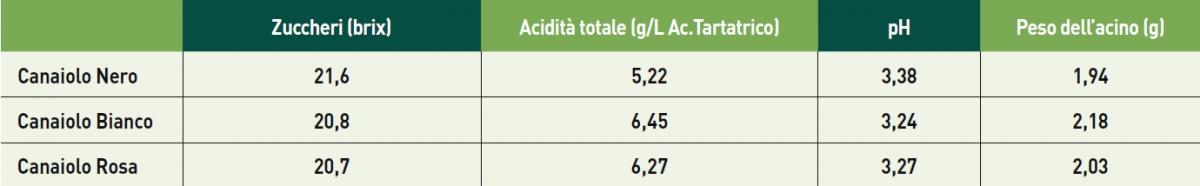 Il Canaiolo nero tab 5