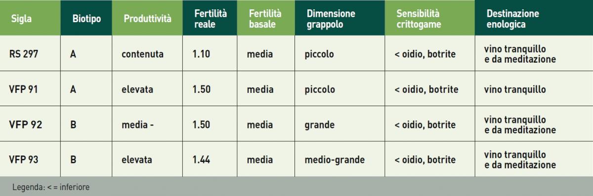 Il Grillo tab.2