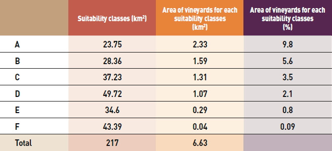 Classi di idoneità e distribuzione dei vigneti del Cesanese