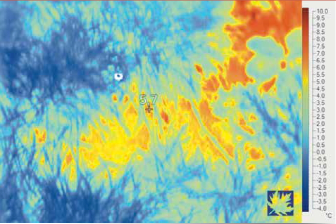 Immagine termografica che evidenzia la differenza di temperatura fra l’erba (fredda) e il terreno sottostante (più caldo)
