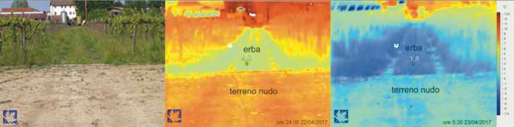 Immagine termografica di suolo inerbito e non inerbito