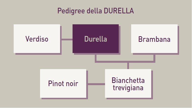 La Durella tabella 1