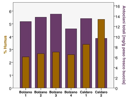 Lagrein: Grafico su humus e antociani