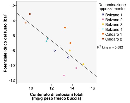 Grafico sul potenziale idrico delle bacche di uva Lagrein