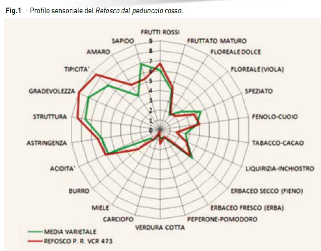 Profilo sensoriale Refosco