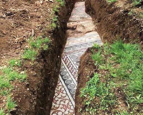 Scoperto un tesoro sotto le vigne dell'Amarone della Valpolicella