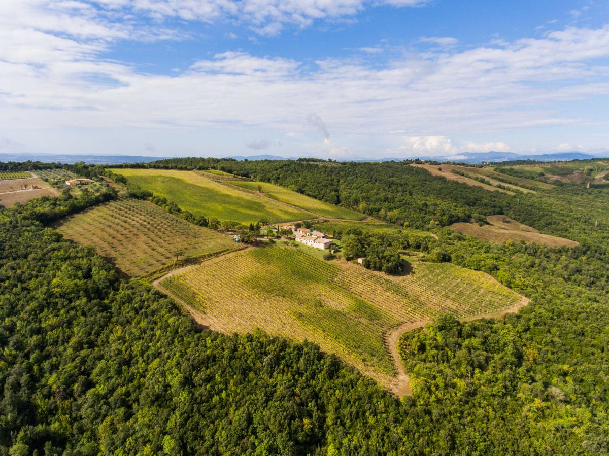 Tenuta di Montalcino