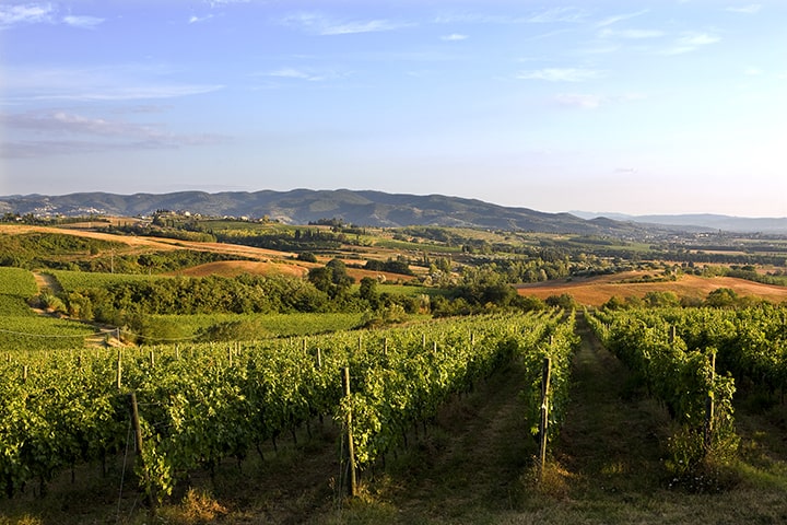 Orvieto