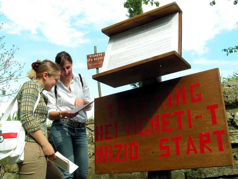 Trekking nei vigneti