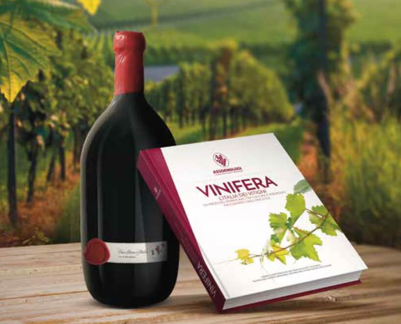 Vino rosso d'Italia