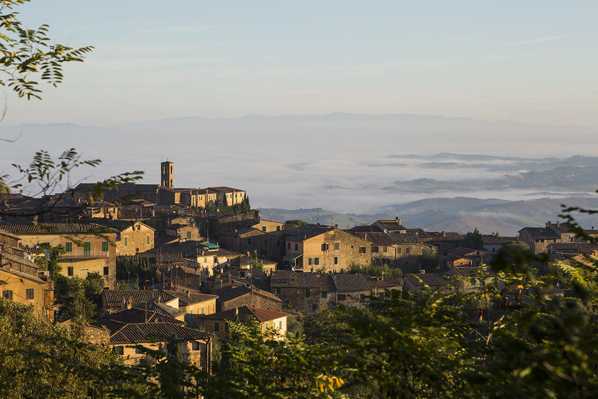 Vista di Montalcino