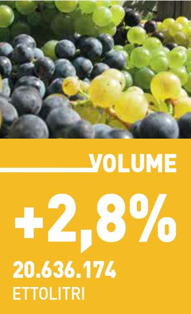 Incremento dell'export del vino italiano nel 2016 in volume