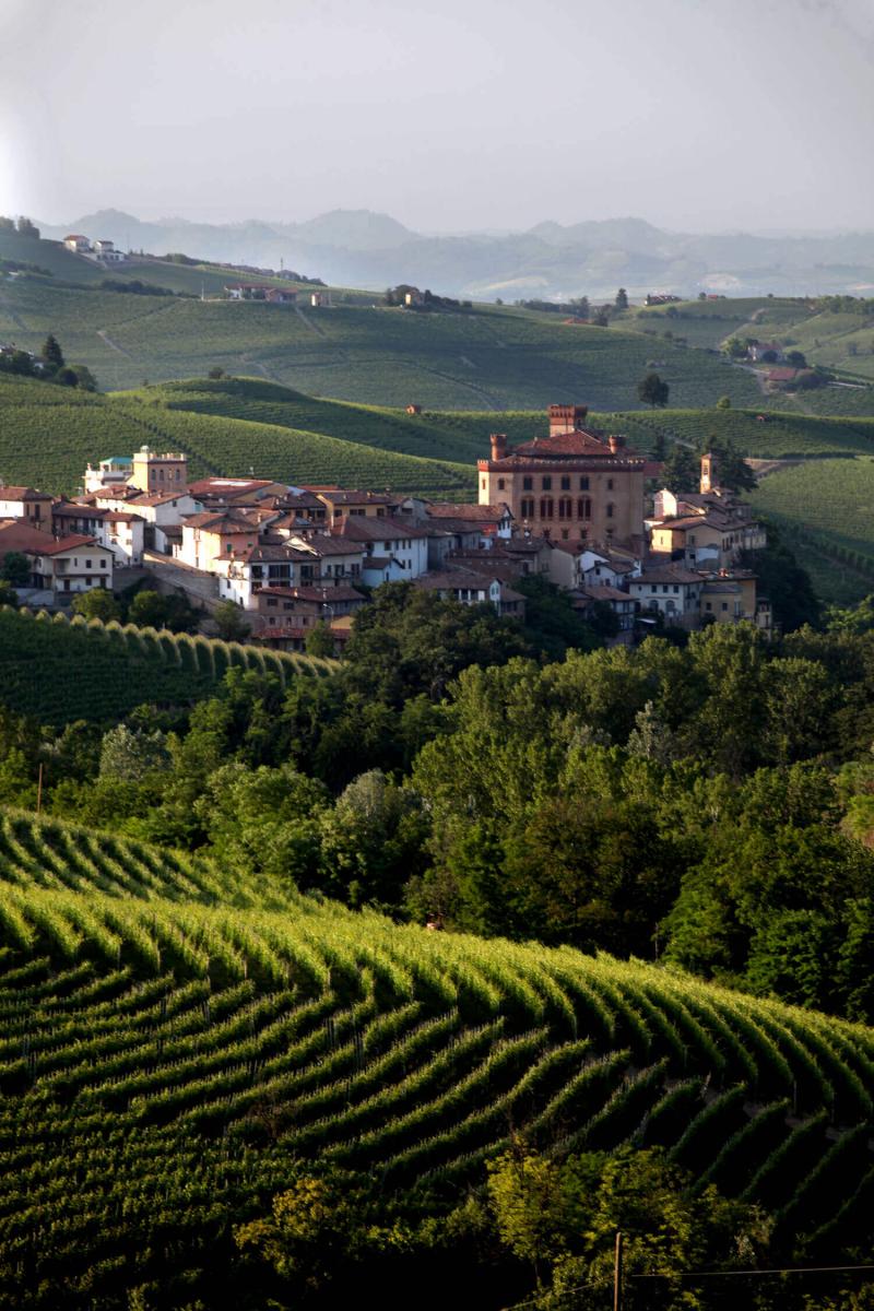 Barolo città del vino 2021