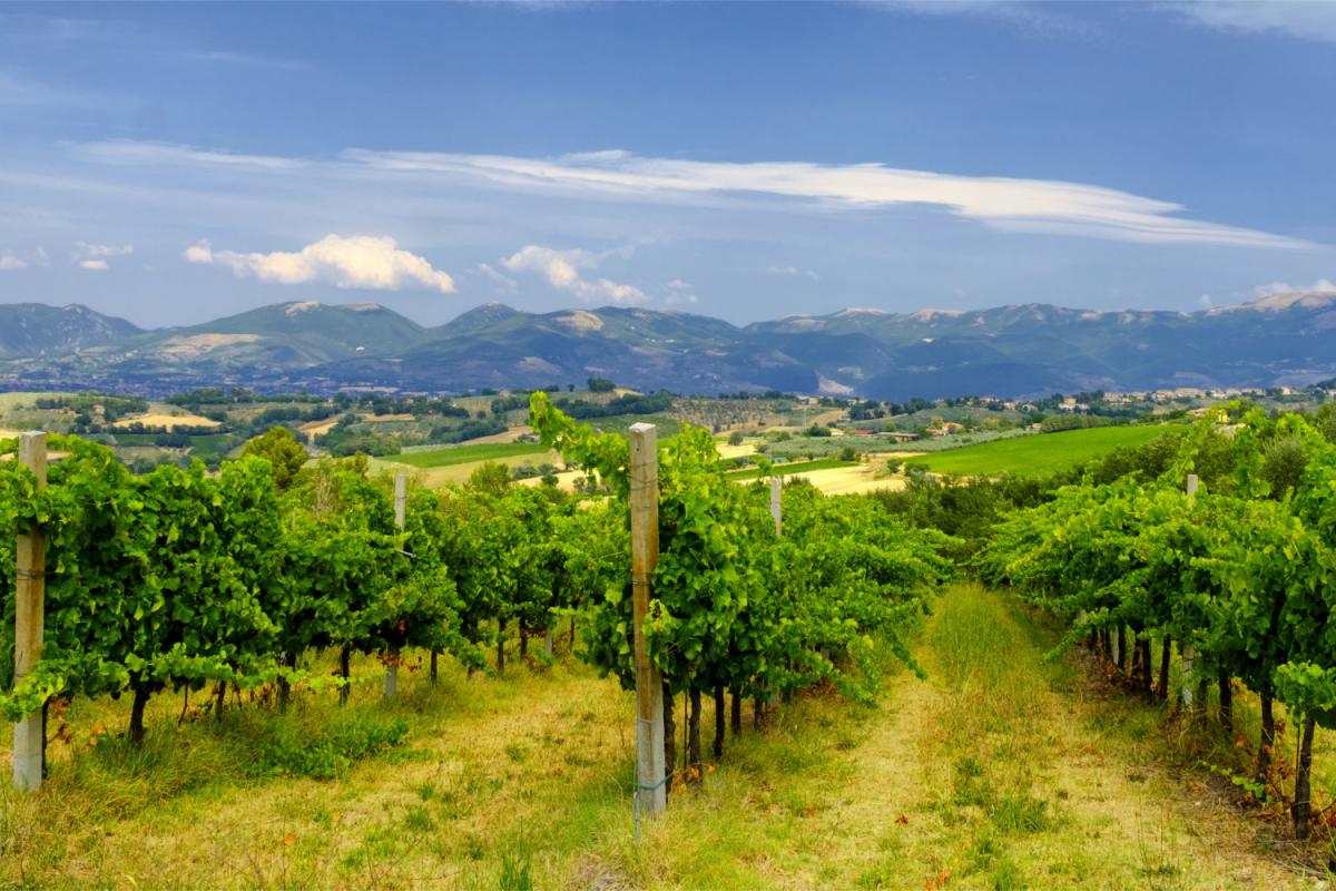 Bevagna Sagrantino