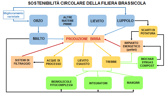 Modello di filiera per produzione della birra di Birraverde