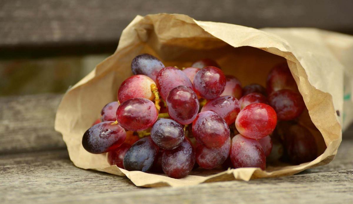 Uva rossa di Bolgheri