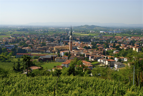 Pedemontana Vicentina